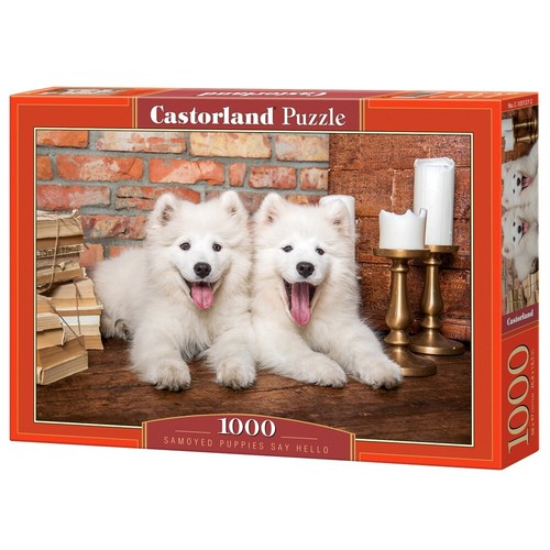 Puzzle 1000 pezzi castorland - puzzle,