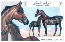 Fauna. Cavalli arabi 1997.