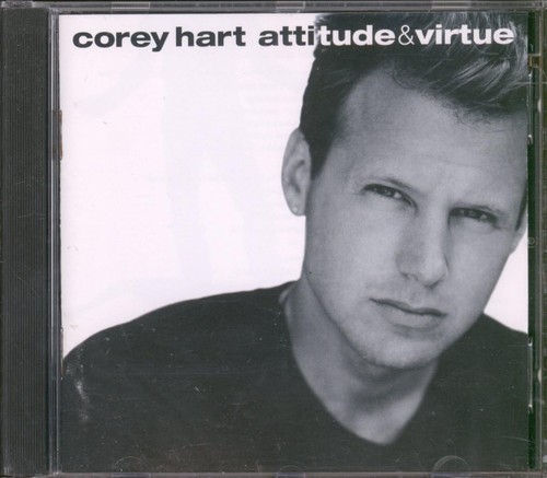 Attitude virtue - attitude, &