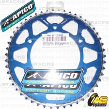 Pignone posteriore Apico