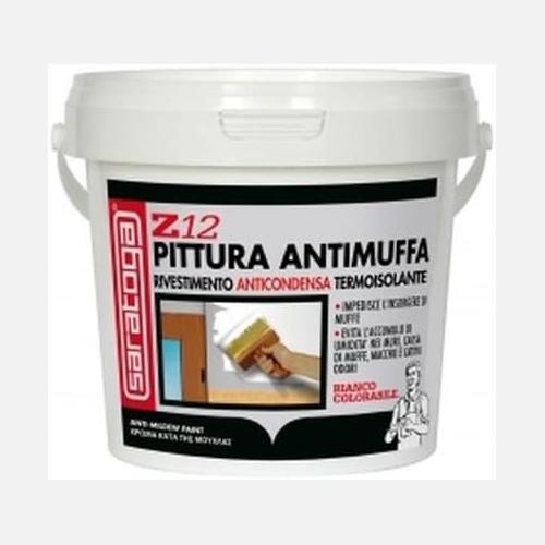 Saratoga z12 pittura - saratoga,