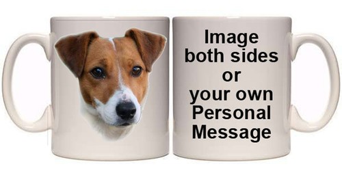 Jack russell terrier - jack,