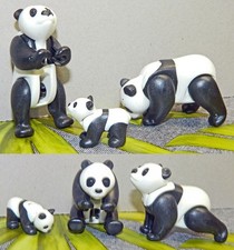 PLAYMOBIL ANIMALI dell'ASIA: 2