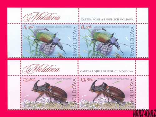 Moldavia 2024 natura - moldavia,