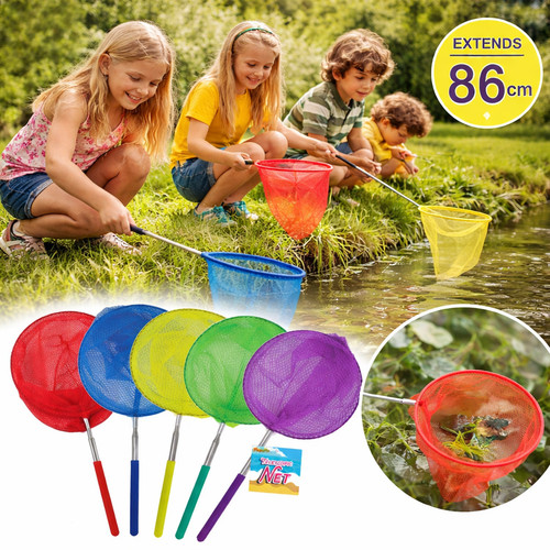 Reti pesca farfalla - 2, da