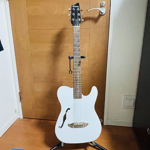 Chitarra elettrica acustica
