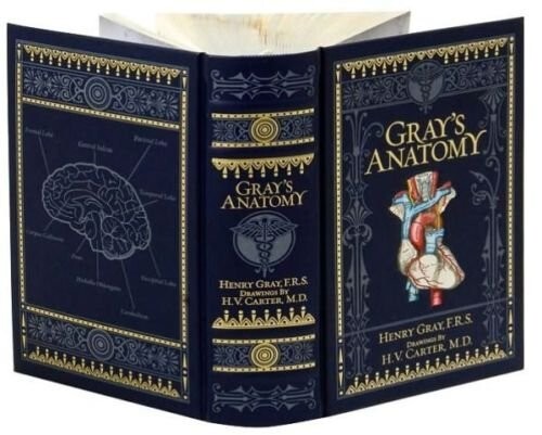Collectible gray anatomy - gray's,