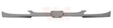 Griglia radiatore 4028510 - , van
