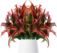 4 Pezzi Piante Artificiali