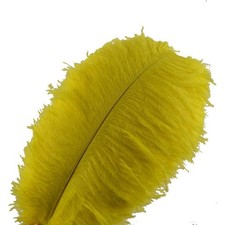 Piume di struzzo Sowder 10