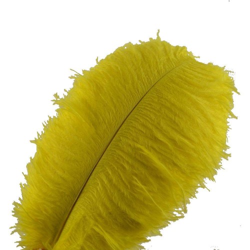 Piume struzzo sowder 10 - piume, di