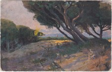 ILLUSTRATORE - ARTIST SIGNED -