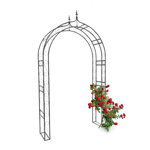 Arco per rose - , punte