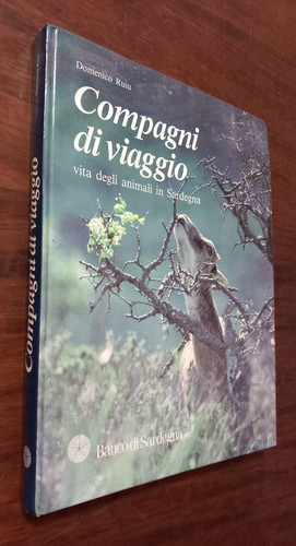 B4258 domenico ruiu - b4258,