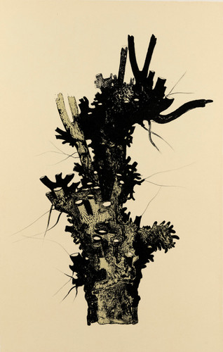 Carlo mattioli albero iii - carlo,