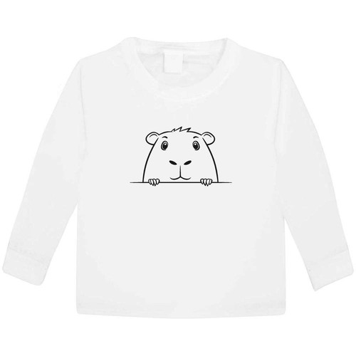 Cute capybara peeking - 'cute,