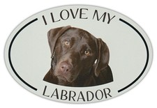 Oval Dog Breed Picture Car