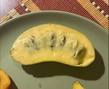Premium Stratified Pawpaw 25