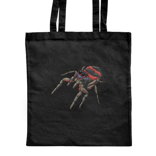 Borsa shopper jumping spider - borsa, spider'