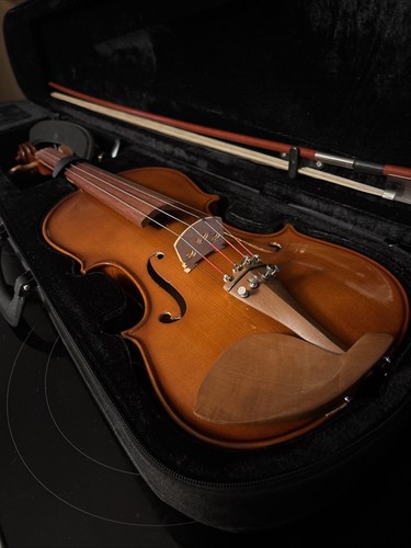 Violin great condition - great,