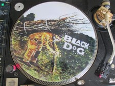 LED ZEPPELIN - BLACK DOG (IV)