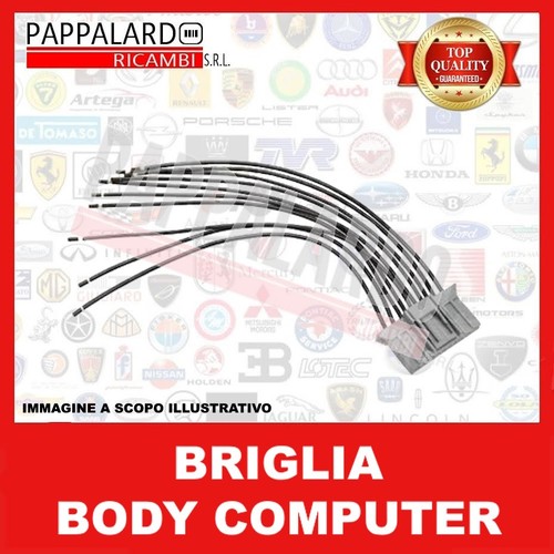 Kit cablaggio connettore - kit,