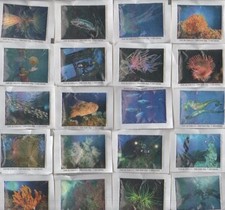 FOTO SUB - 20 bustine di