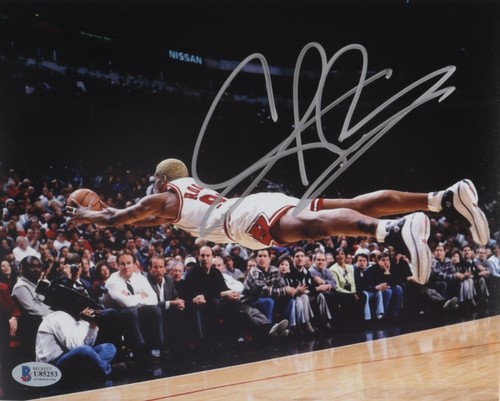 Dennis rodman foto - dennis,