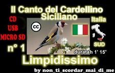 CANTO DEL CARDELLINO SICILIANO PER INCARDELLATI NOVELLI LIMPIDO CD USB MICRO SD