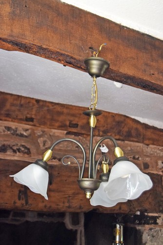 Lampadario tulipano bracci - lampadario,