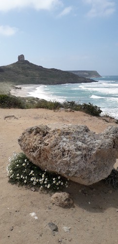 Affitto casa mare sardegna - al,