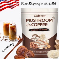 Caffè ai Funghi 2024 Nuovo