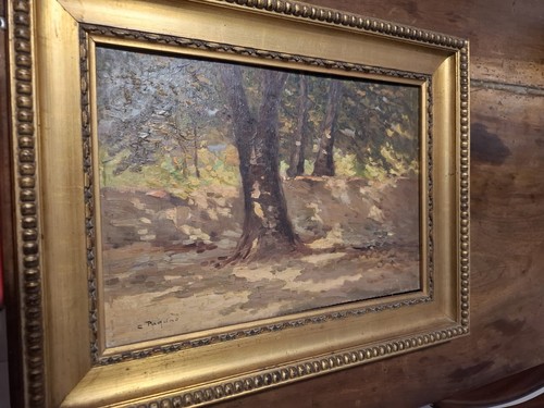 Carlo pagano olio tavola - carlo,
