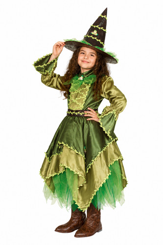 Costume fata dei - costume,