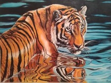 Quando moderno, dipinto a mano, olio su tela, 40x50, Tigre nell'acqua