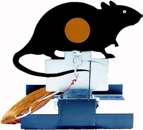 Bsa rat field target - field, it