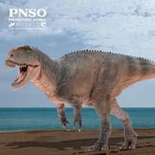 PNSO 2022  Xinchuan il