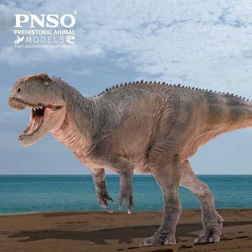 Pnso 2022 xinchuan il - ,