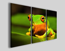 Arredamento negozio animali