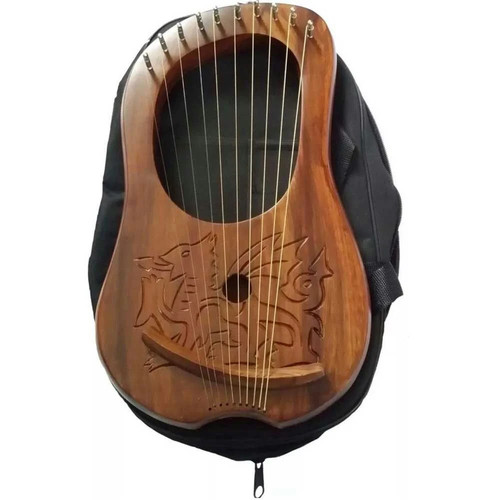 Arpa lira incisa - lira, drago