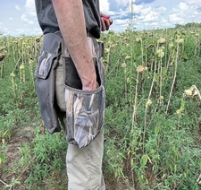 Cintura da caccia per caccia e