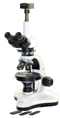 Microscopio polarizzatore