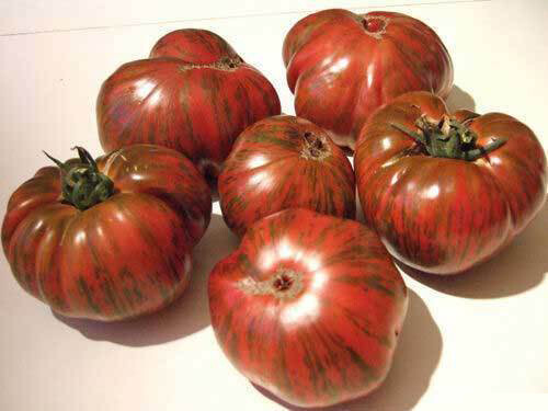 Pomodoro chocolate stripes - pomodoro,