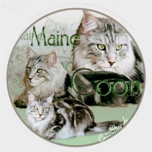 Adesivo design maine coon - adesivo,