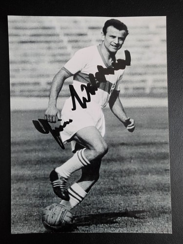 Erwin waldner foto originale - erwin,