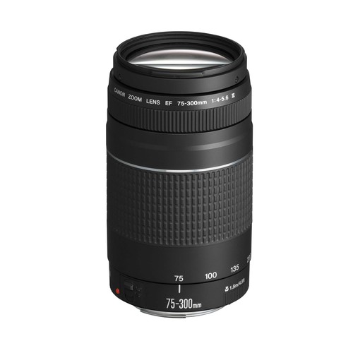 Teleobiettivo zoom 300 - zoom, 75-300