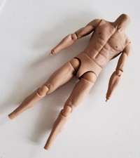 Action body figure - body, 1/6