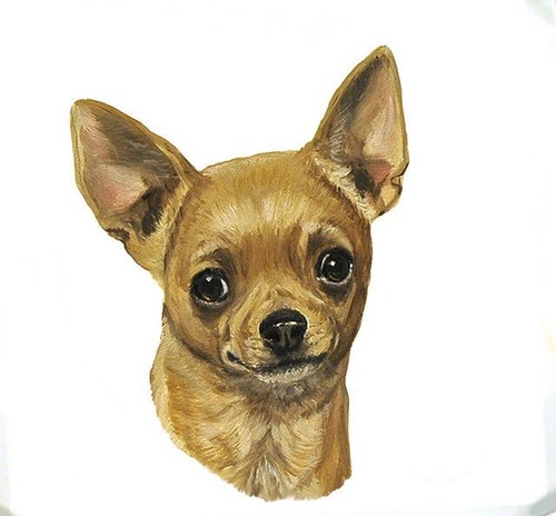 Borsa chihuahua tan - borsa,