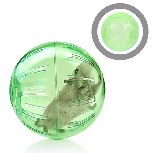 Guinea pig balls - , 10