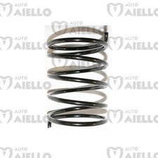 MOLLA LUNGA PER VARIATORE